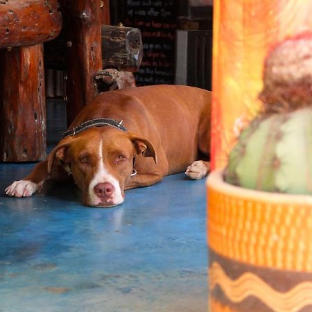 帕洛米诺 Casa Surf Mar Azul酒店 外观 照片