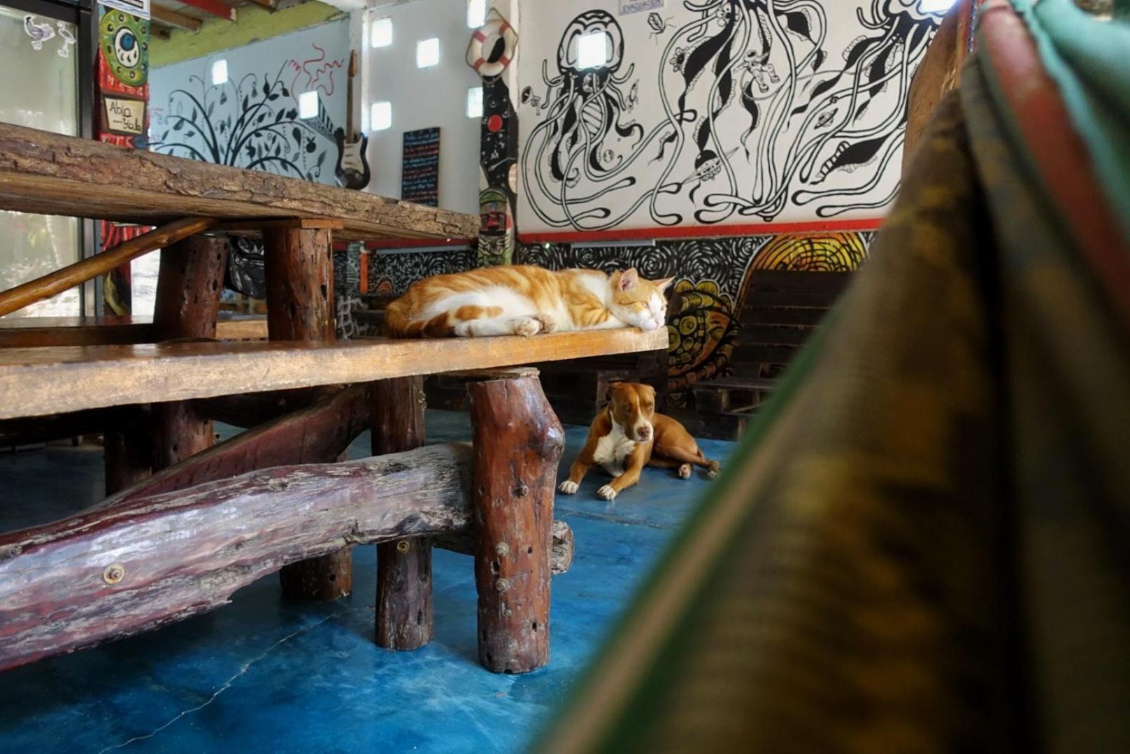 帕洛米诺 Casa Surf Mar Azul酒店 外观 照片